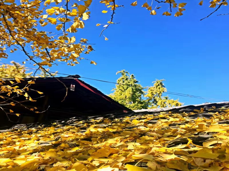 腾冲旅游