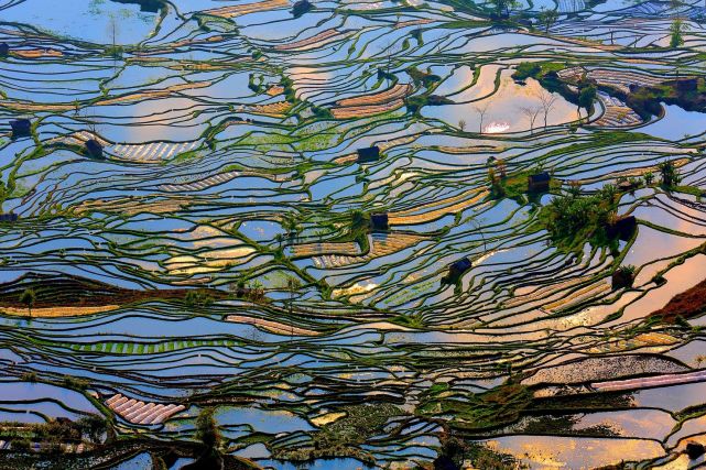 暑假想去云南旅游，有哪些旅游城市可以推荐