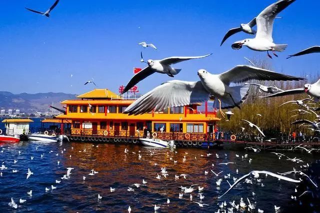 云南品质游旅行社推荐，云南旅游选择品质旅游有什么优点