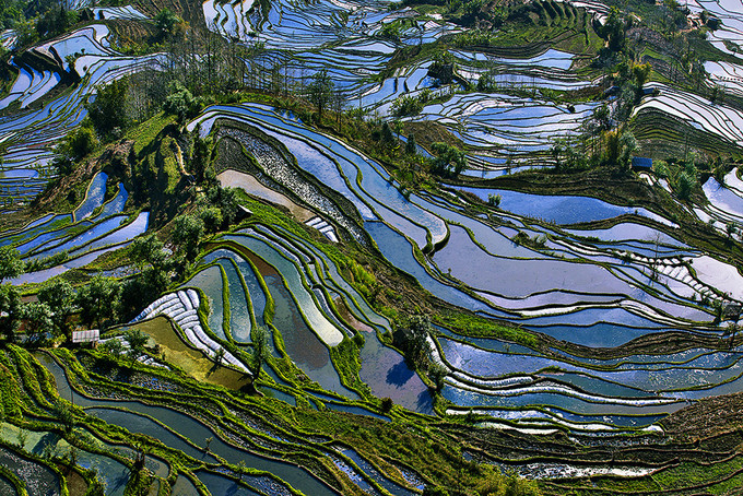 云南元阳梯田的最佳摄影旅游时间