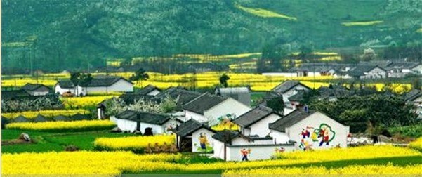 中国乡村旅游存在的问题有哪些