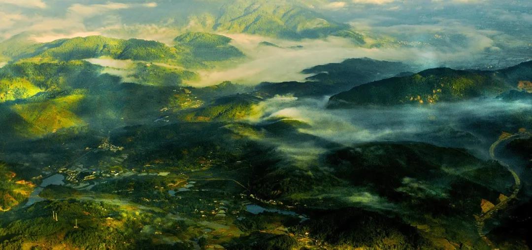 景迈山， 一片沉承载千年茶文化的净土  