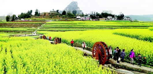 乡村旅游的“五生”需求