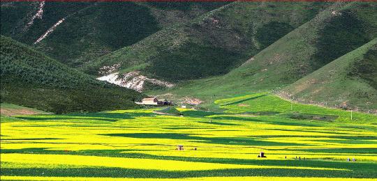 乡村旅游的“五风”资源