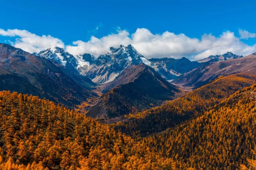 白马雪山