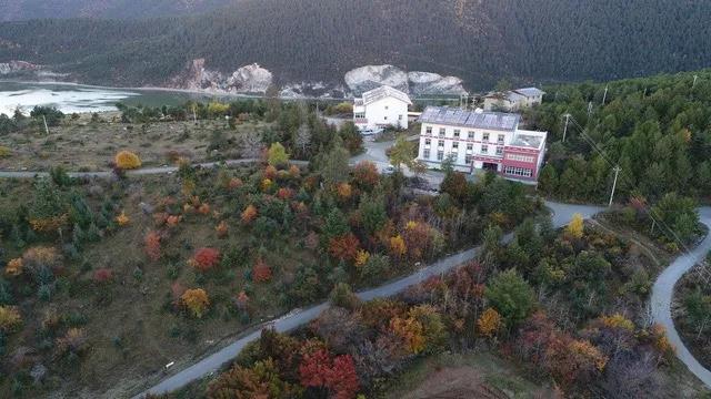 香格里拉高山植物园