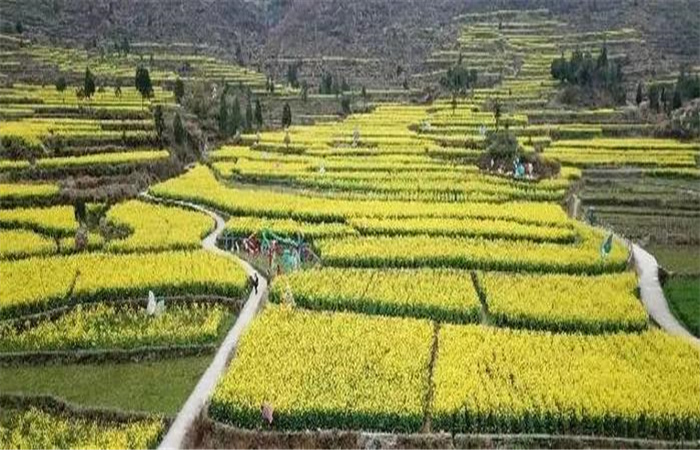 乡村旅游 乡村旅游