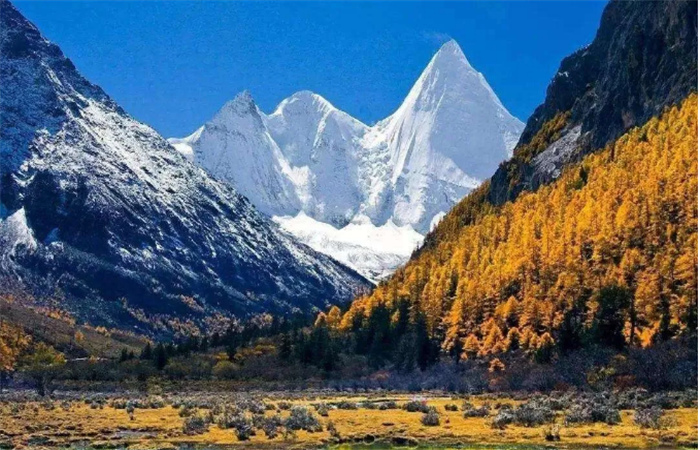 自驾游 自驾游