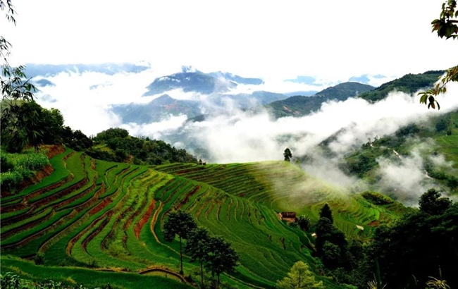 红河旅游  打卡夏日元阳哈尼梯田，畅游绿色仙境