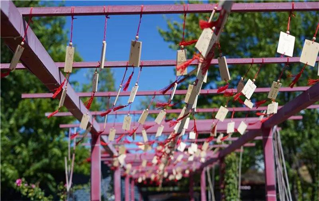 赏花亲水、荷塘野趣……楚雄东华湿地公园许你一个缤纷夏日