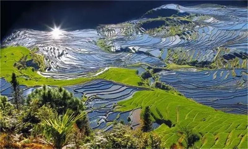 云南红河旅游—云南十大特色旅游新地标：撒玛坝万亩梯田景区