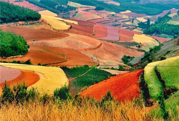 云南传媒公司：大地的调色盘——东川红土地，一抹热烈的红