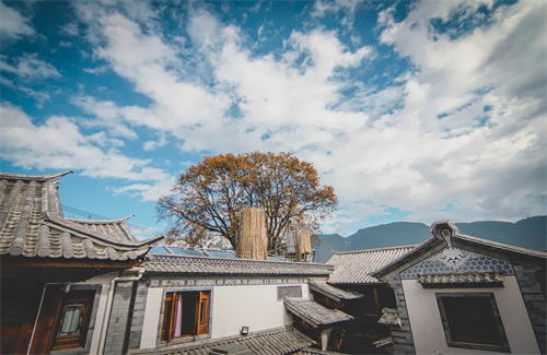 春节云南特辑 | 人少景美！春节云南旅游线路推荐三