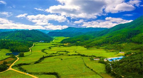 全云南最美的10个露营地推荐之六：金源“小青藏高原”