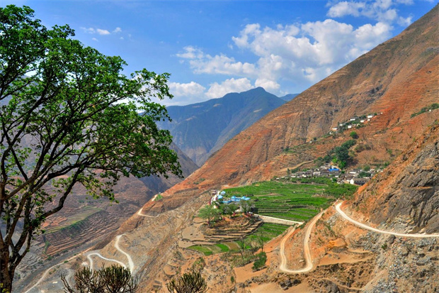 云南旅游,云南旅行社,云南团建公司,云南会议公司,大理旅游,大理旅行社,大理团建公司,大理会议公司：云南第一棵咖啡树，在哪？