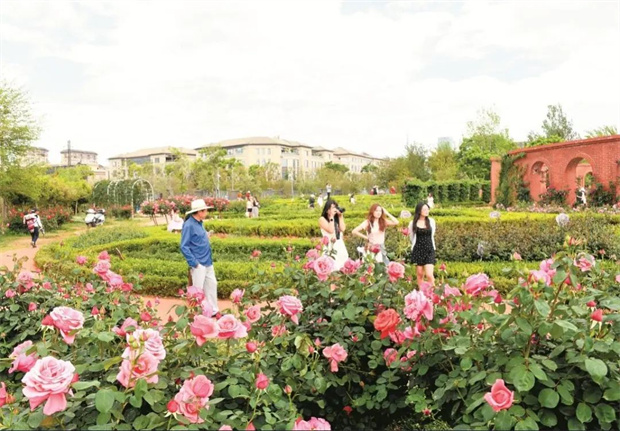 云南旅游,云南旅行社,云南团建公司,云南策划公司,云南会议公司,昆明旅游,昆明旅行社,昆明团建公司,昆明策划公司,昆明会议执行：旅居昆明，在花海里通关四季！花历正在更新，等你来签收春天→