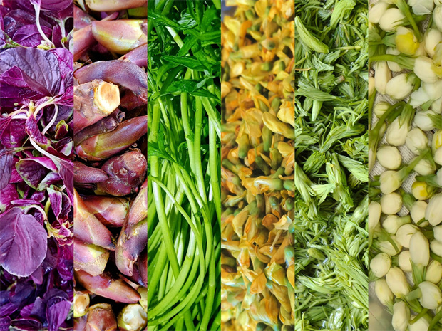 大理旅游：大理“食春”图鉴来啦