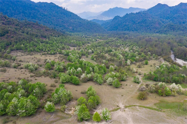 腾冲旅游：世界花园·腾冲之旅丨奔赴腾冲大竹坝，赴一场踏青之约