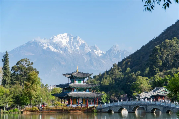 丽江旅游:绿绿绿,美美美!春夏之际的黑龙潭被绿色承包了