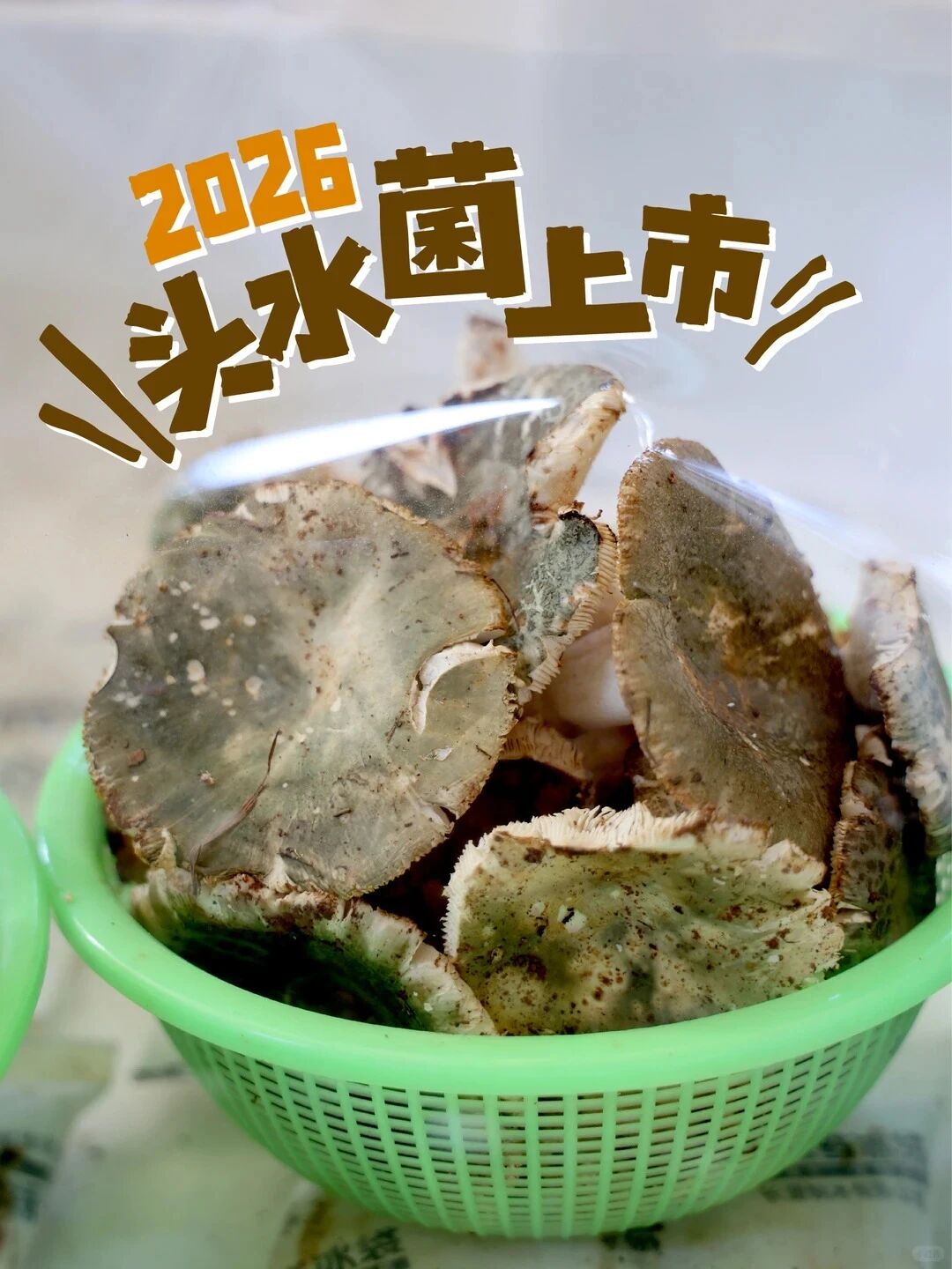 木水花市场头水菌探||你好，我吃一口